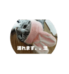 すたんぷっぷ（個別スタンプ：1）