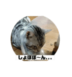 すたんぷっぷ（個別スタンプ：3）