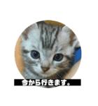 すたんぷっぷ（個別スタンプ：4）