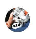 すたんぷっぷ（個別スタンプ：5）