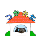 わんにゃんスタンプ①（個別スタンプ：14）