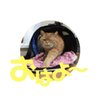 てっちゃんすたんぷ①（個別スタンプ：2）