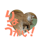 てっちゃんすたんぷ①（個別スタンプ：4）