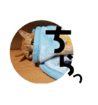 てっちゃんすたんぷ①（個別スタンプ：7）