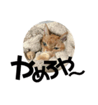 てっちゃんすたんぷ①（個別スタンプ：9）