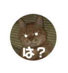 てっちゃんすたんぷ①（個別スタンプ：10）
