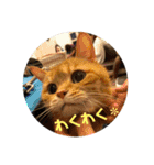 てっちゃんすたんぷ①（個別スタンプ：11）