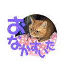 てっちゃんすたんぷ①（個別スタンプ：12）
