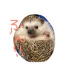 とげぴー（個別スタンプ：3）