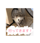 とげぴー（個別スタンプ：7）