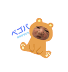 ぼく、ジウちゃんです（個別スタンプ：1）