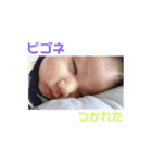 ぼく、ジウちゃんです（個別スタンプ：14）