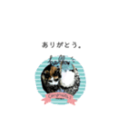 猫のキリコ（個別スタンプ：3）