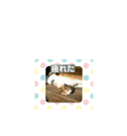 猫のキリコ（個別スタンプ：8）