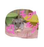 ハムスターの気持ち(リックハム)（個別スタンプ：4）