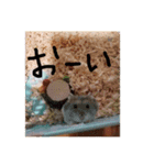 ハムスターの気持ち(リックハム)（個別スタンプ：5）