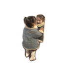 りかちゃん①（個別スタンプ：1）