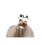 もこ太ときどきハム太郎。（個別スタンプ：11）