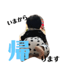 陵太郎'sスタンプ（個別スタンプ：18）