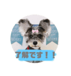 たわしそスタンプ（個別スタンプ：12）