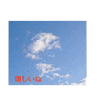 果てしない空（個別スタンプ：35）