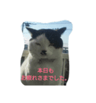みぅコレクション（個別スタンプ：6）