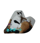 みぅコレクション（個別スタンプ：8）