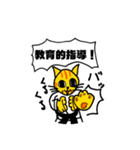 猫柔道（個別スタンプ：5）
