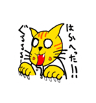 猫柔道（個別スタンプ：6）