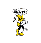 猫柔道（個別スタンプ：7）