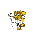 猫柔道（個別スタンプ：17）