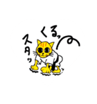 猫柔道（個別スタンプ：21）
