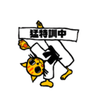 猫柔道（個別スタンプ：25）