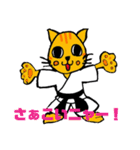 猫柔道（個別スタンプ：34）