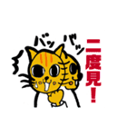 猫柔道（個別スタンプ：36）
