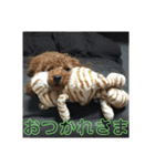 トイプーすたんぷ（個別スタンプ：6）
