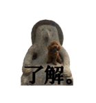 トイプーすたんぷ（個別スタンプ：17）