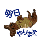 トイプーすたんぷ（個別スタンプ：39）