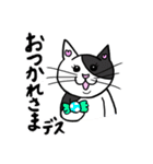 ネコのほんわかな無難なスタンプです。（個別スタンプ：3）