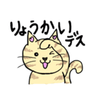 ネコのほんわかな無難なスタンプです。（個別スタンプ：9）