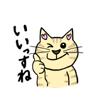 ネコのほんわかな無難なスタンプです。（個別スタンプ：11）