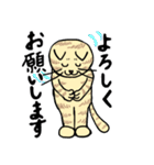 ネコのほんわかな無難なスタンプです。（個別スタンプ：12）