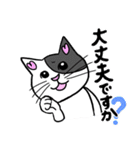ネコのほんわかな無難なスタンプです。（個別スタンプ：16）