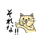 ネコのほんわかな無難なスタンプです。（個別スタンプ：18）