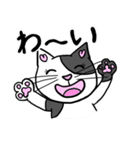ネコのほんわかな無難なスタンプです。（個別スタンプ：19）