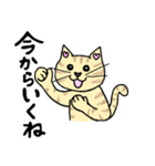 ネコのほんわかな無難なスタンプです。（個別スタンプ：29）