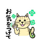 ネコのほんわかな無難なスタンプです。（個別スタンプ：32）