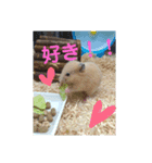 ハムスターのパズ君②（個別スタンプ：6）