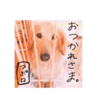山田家のアイドル（個別スタンプ：15）