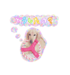 山田家のアイドル（個別スタンプ：20）